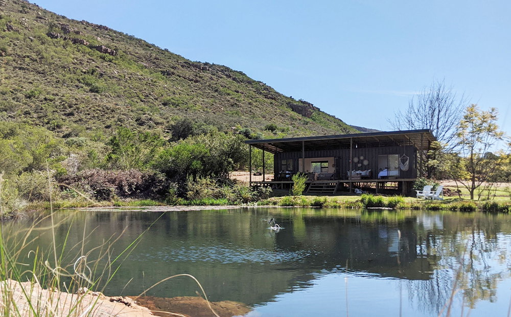 Leopard Valley Eco Retreat Cabins: Cape Sugarbird