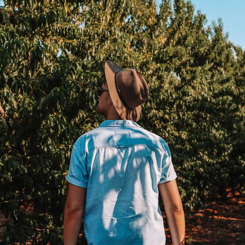Farm walks