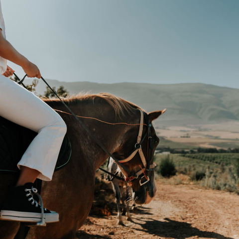 Tulbagh Horse Trails