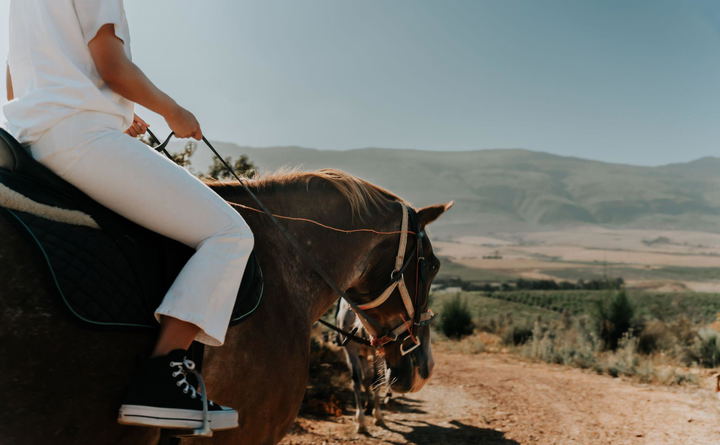 Tulbagh Horse Trails