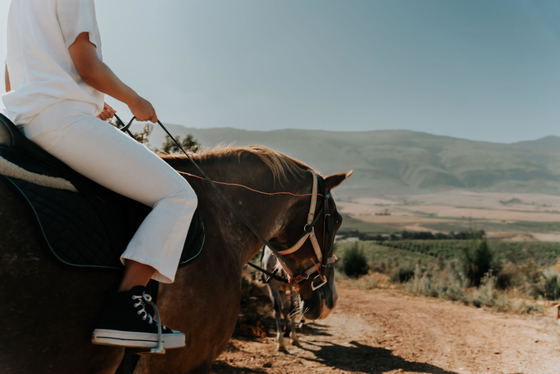 Tulbagh Horse Trails