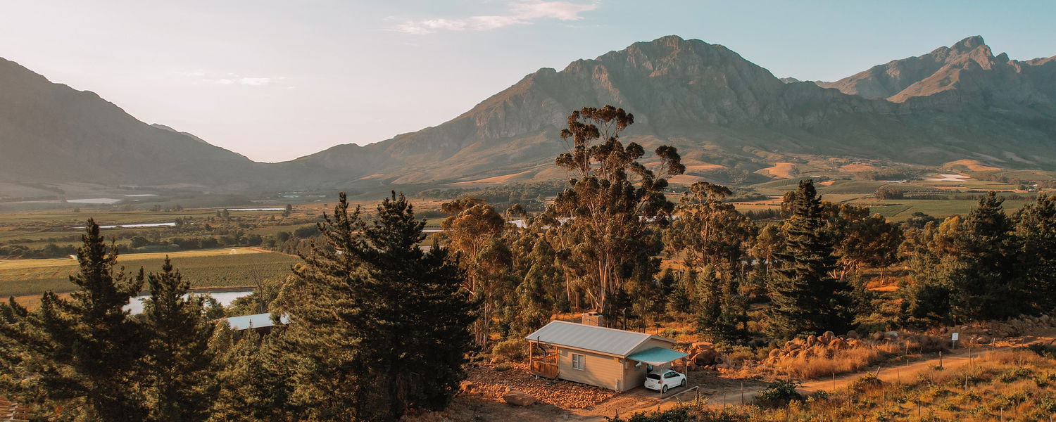 Cabin Check-in Guide