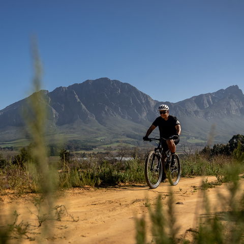 Cycling