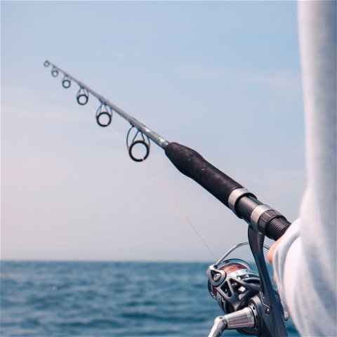 Deep Sea fishing trips