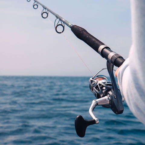 Deep Sea fishing trips