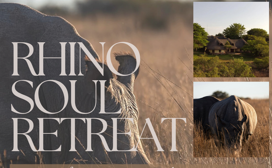Rhino Soul Retreat
