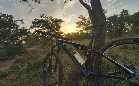 mountain biking in the bush alongside wild animals