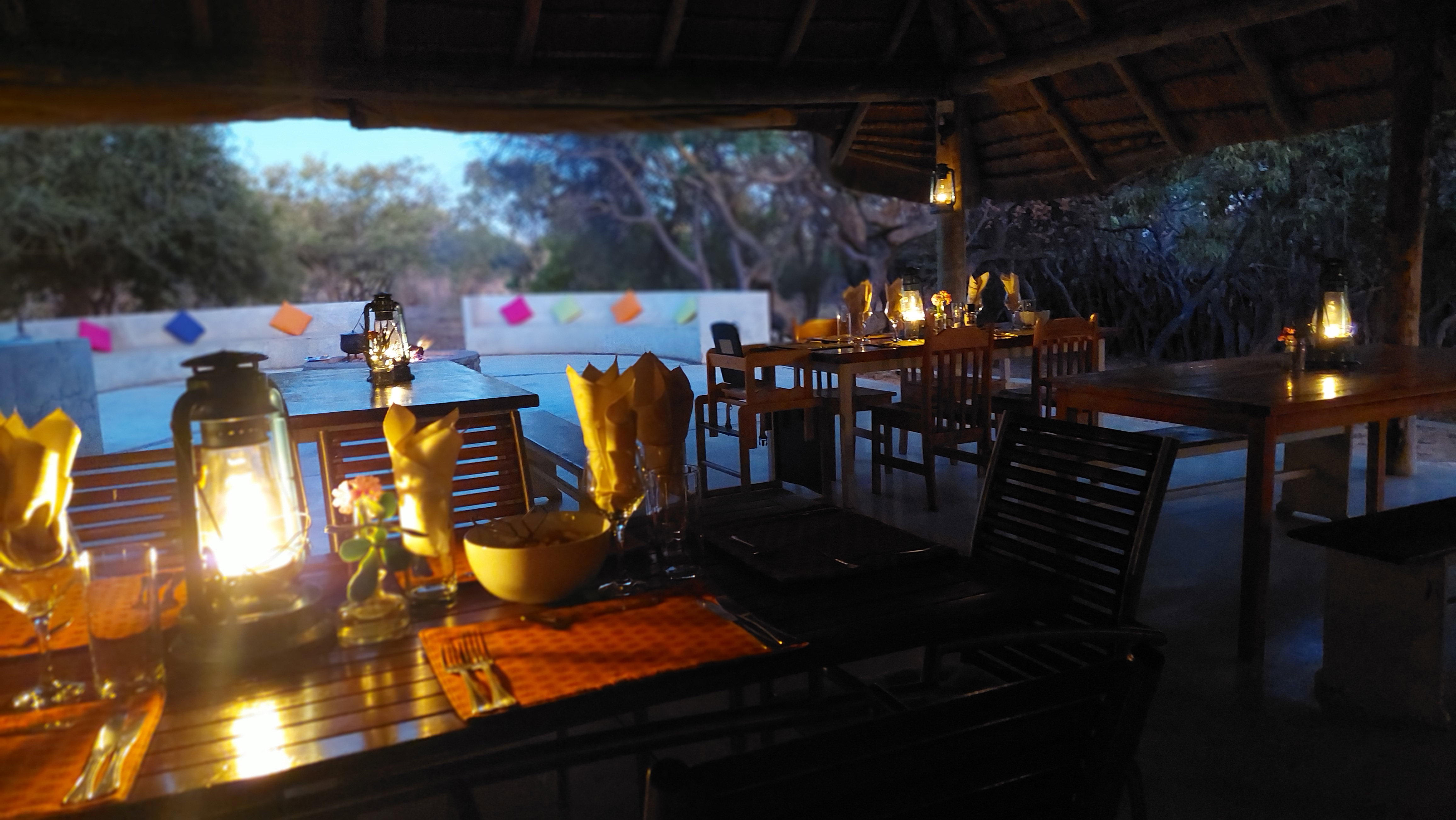 Burkea Boma