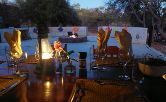 Burkea Boma