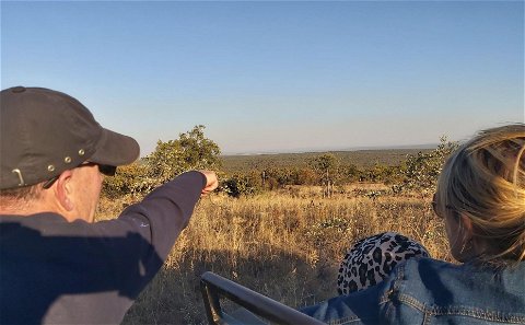 Guided Game Drives and Bush Walks