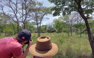 February Special 20% Off