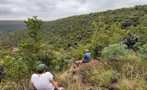 unobstructed view, tree spotting, diverse bushveld