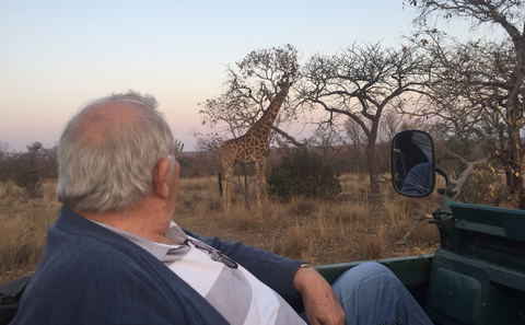 game drives, game viewing, wildlife