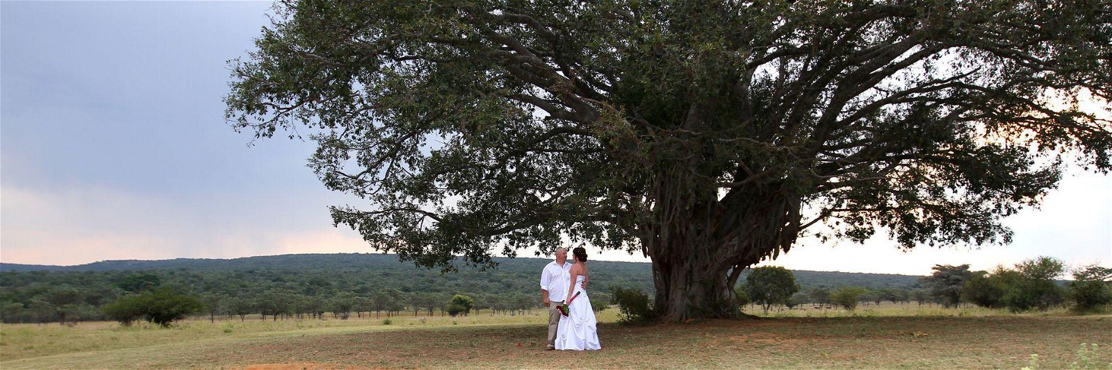 Family reunions, Functions & Special Events