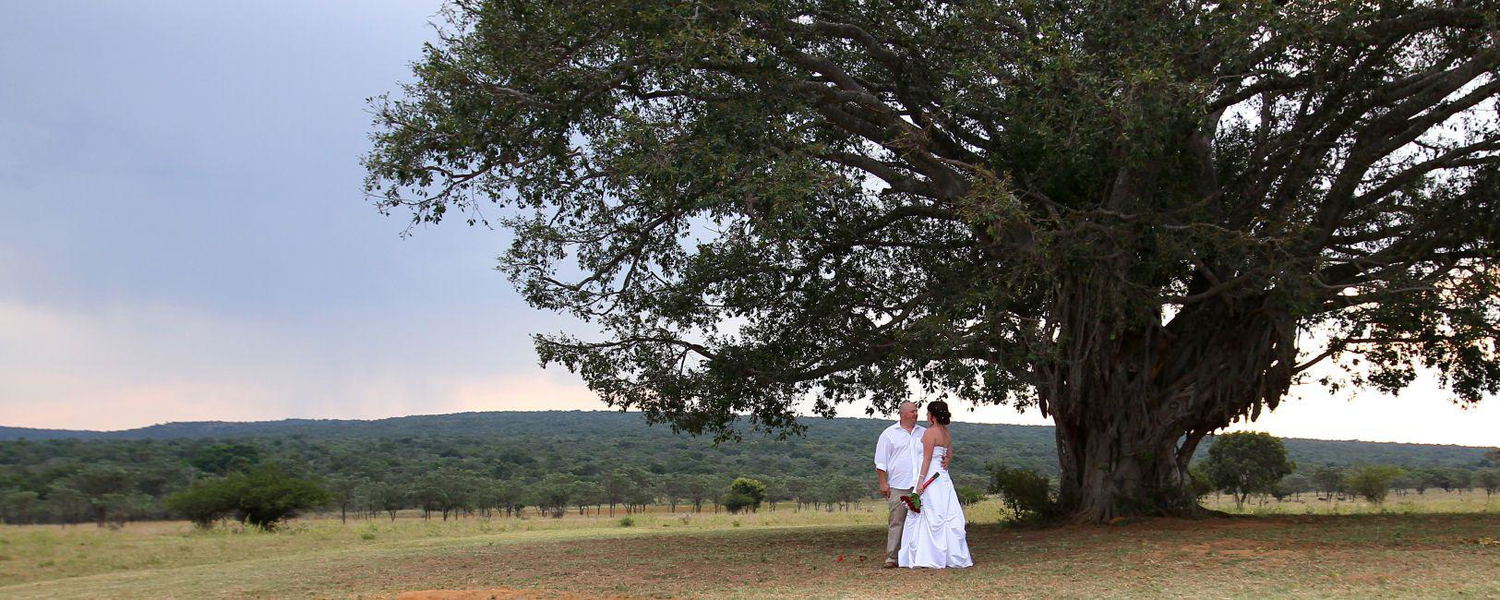 Family reunions, Functions & Special Events