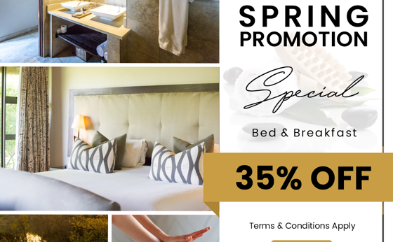 Spring Promotion: Bed & Breakfast Special