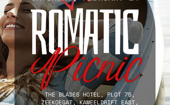 Romantic Valentines Picnic