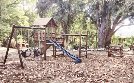 Jungle Gym