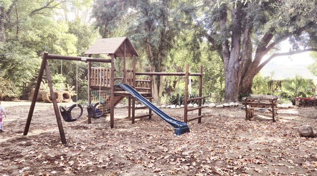 Jungle Gym