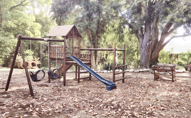 Jungle Gym