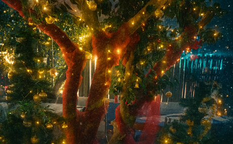 Christmas tree Christmas tree