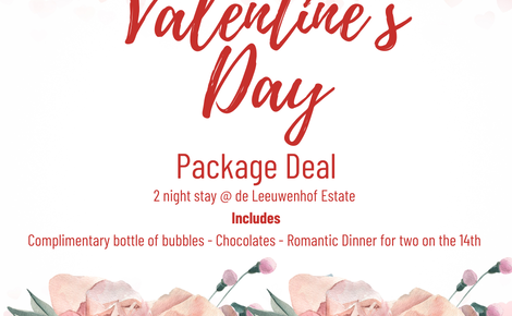 ❤️Valentine's Day | De Leeuwenhof Estate❤️ 