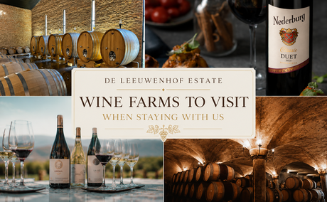 Wine Farms Wine Farms