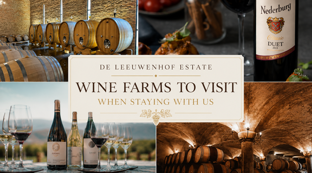 Wine Farms