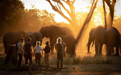 Elephant Cafe Diner