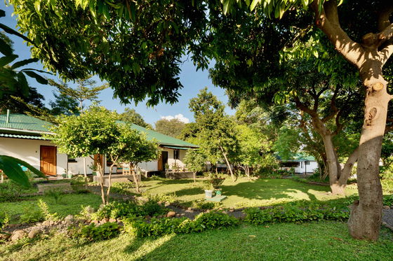 Lush Garden