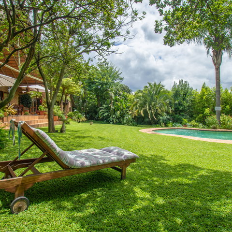Pool lounger