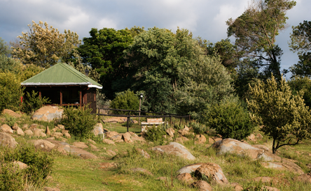 Dragonfly Cabin | Sleeps 2 | Fully Fenced | Pet Friendly