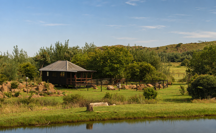 Pheasant Tail Cabin | Sleeps 2 | Pet-Friendly | Fully Fenced