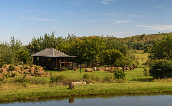 Pheasant Tail Cabin | Sleeps 2 | Pet-Friendly | Fully Fenced