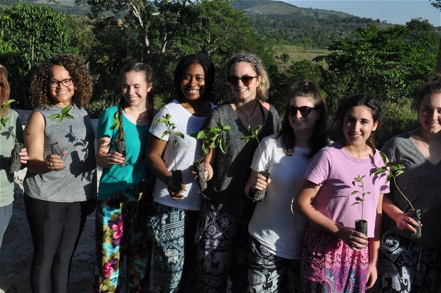 Climate change in Africa. Entanda trees! Explore Uganda. 