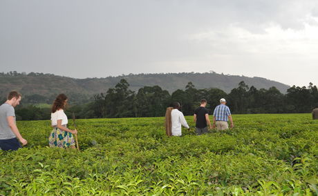 Is it safe to visit Africa? Is there malaria in Uganda, Africa? 