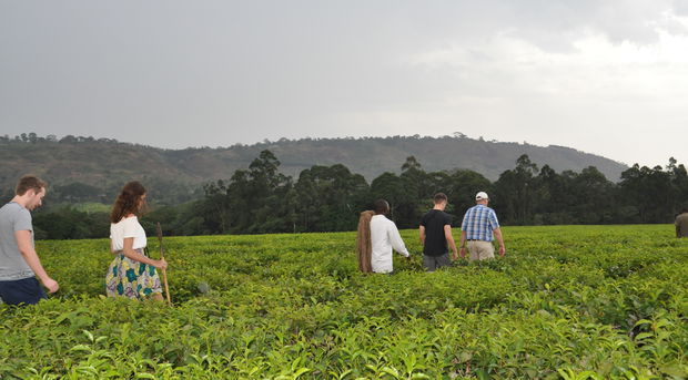 Is it safe to visit Africa? Is there malaria in Uganda, Africa? 