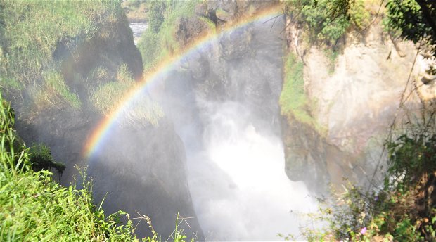 Murchison falls National park. 