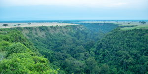 4 Day Queen Elizabeth National Park Safari