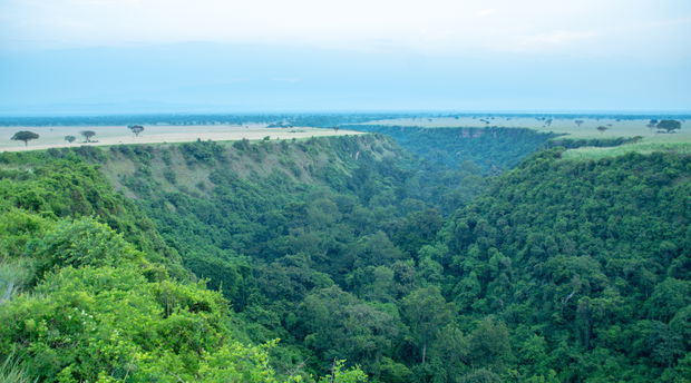 Kyambura Goede in Queen Elizabeth National Park Kyambura Goede in Queen Elizabeth National Park