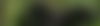 MOUNTAIN GORILLA