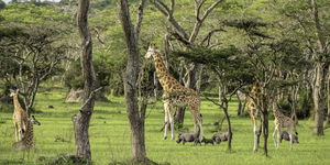2 days Lake Mburo Tour - Budget