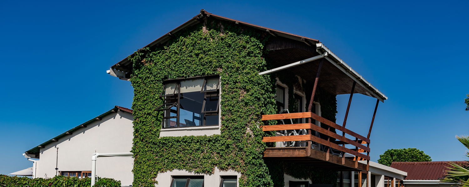 Pet Friendly Self Catering Accommodation Stanford Western Cape