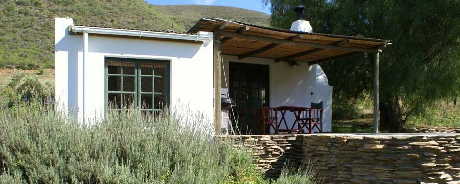 Pet-Friendly Retreat in Robertson: Nature's Comfort and Adventure Await