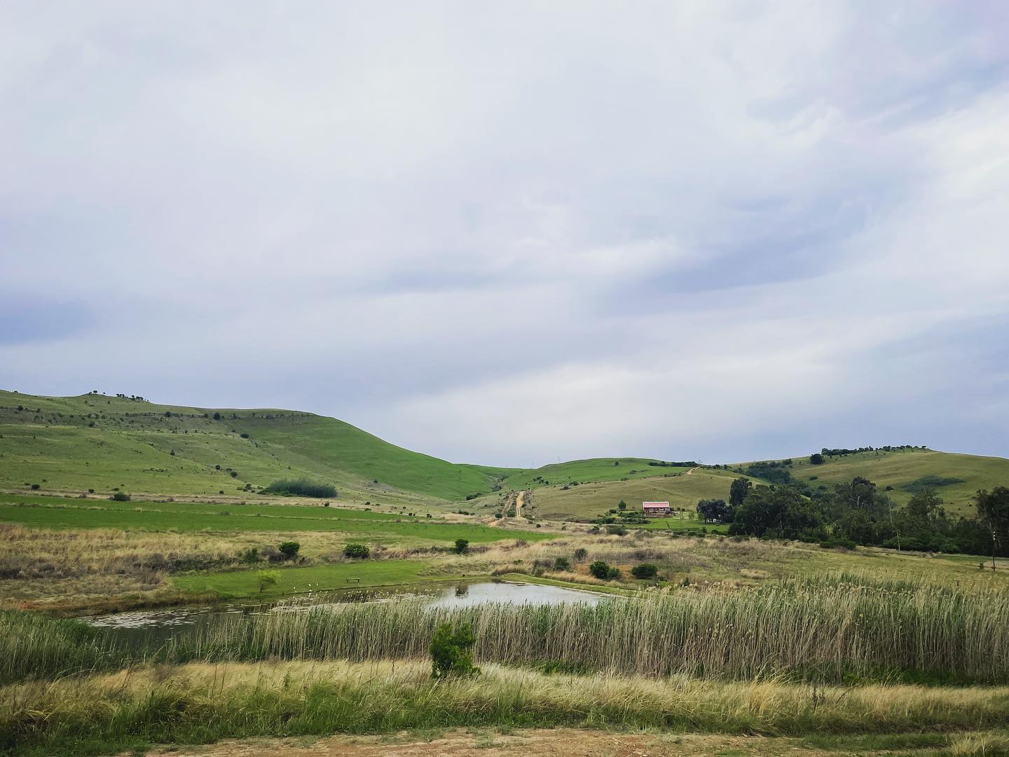 Pet Friendly Fence Accommodation Dullstroom, Mpumalanga, Mpumalanga