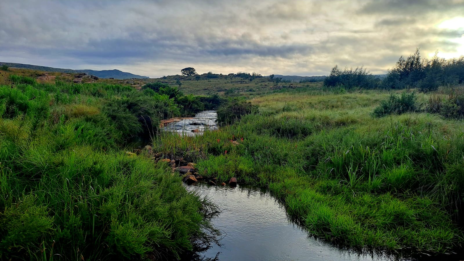 Fenced Pet Friendly Accommodation in Dullstroom, Mpumalanga: The Nest