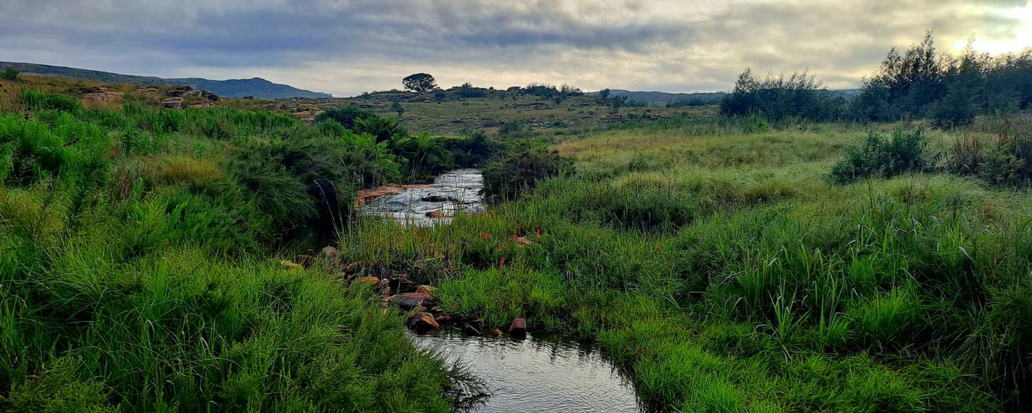 Fenced Pet Friendly Accommodation in Dullstroom, Mpumalanga: The Nest