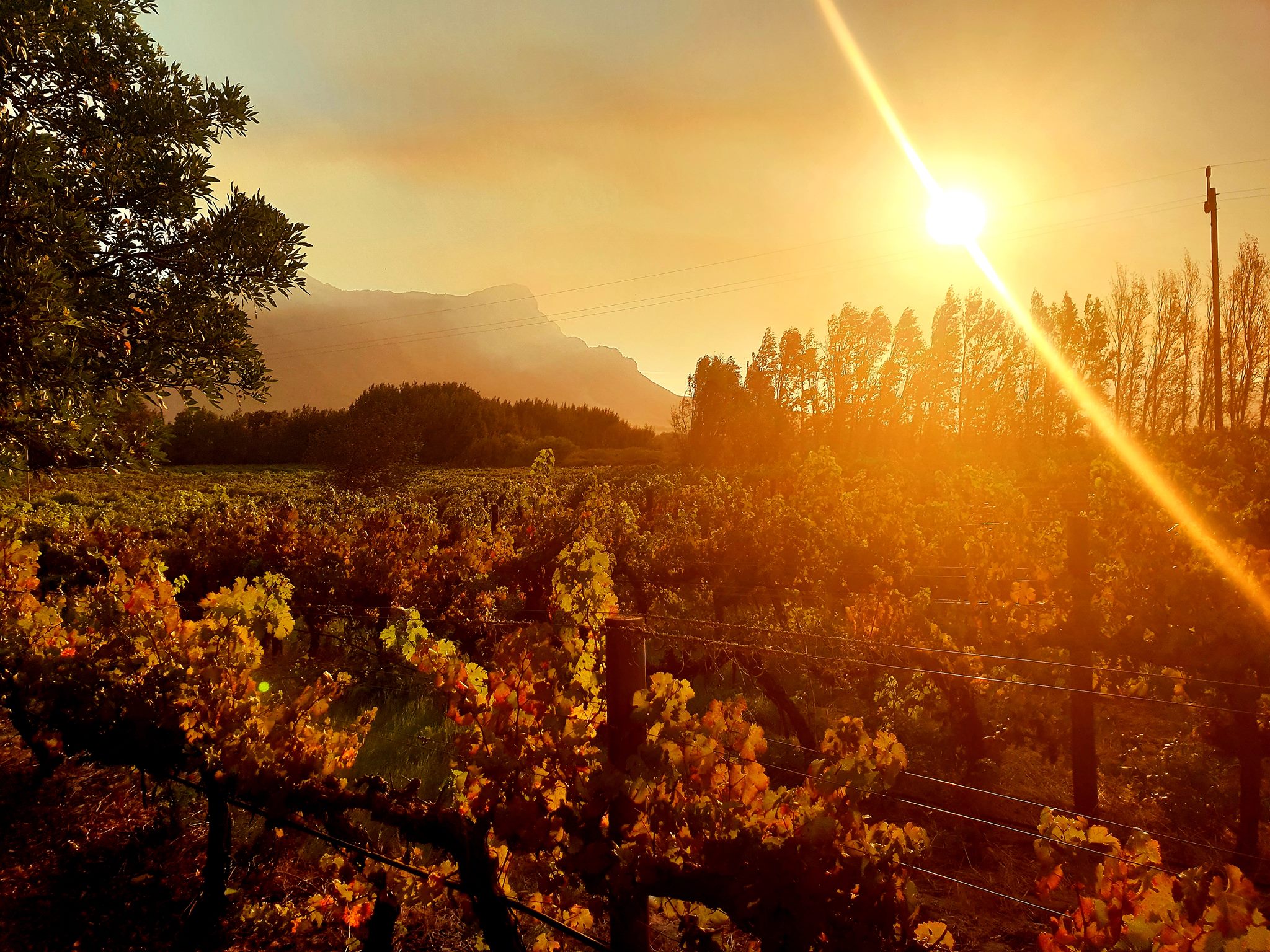 Le Manoir de Brendel pet friendly accommodation Franschhoek Self catering