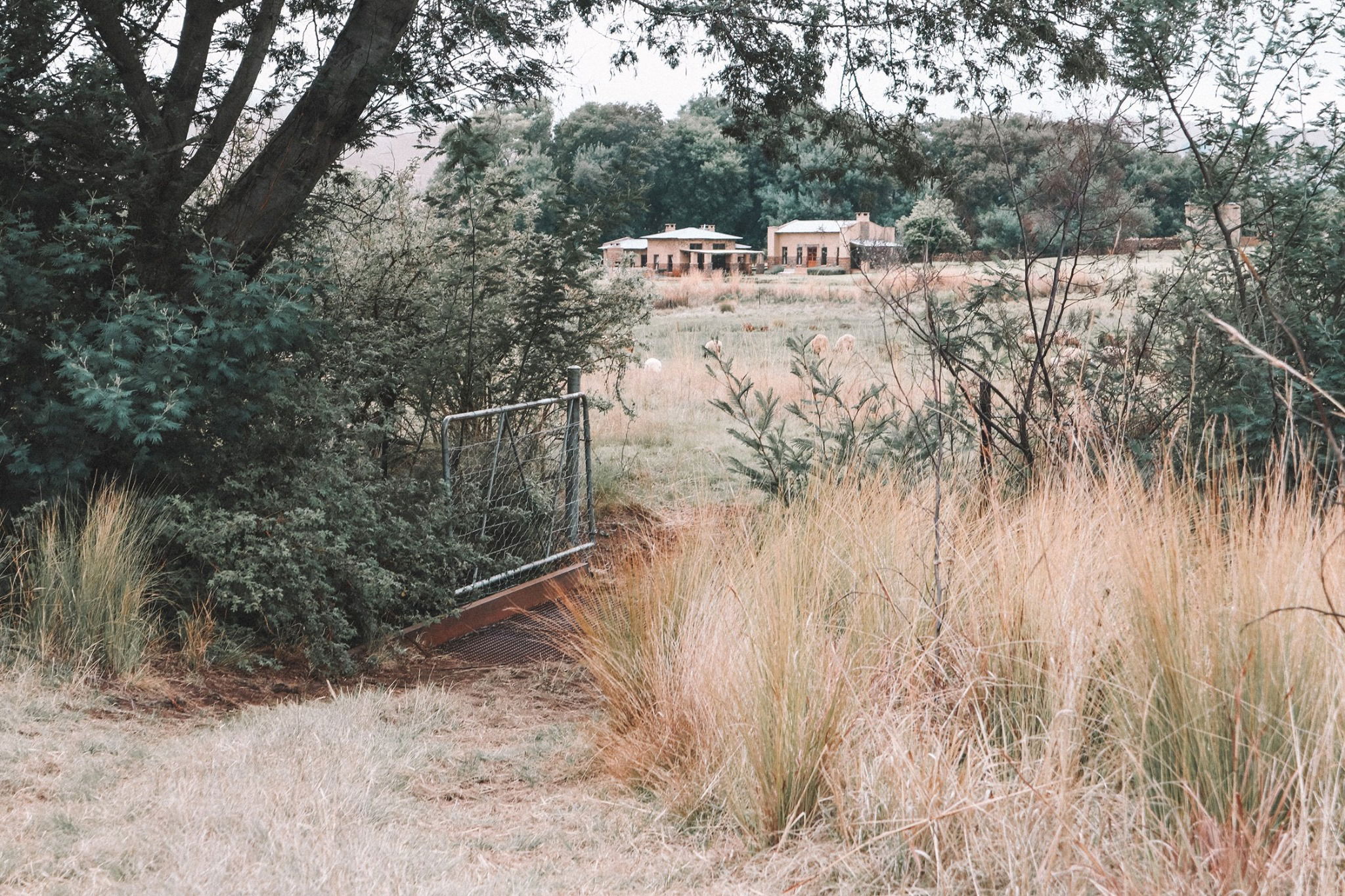 Pet Friendly Accommodation Dullstroom Mpumalanga