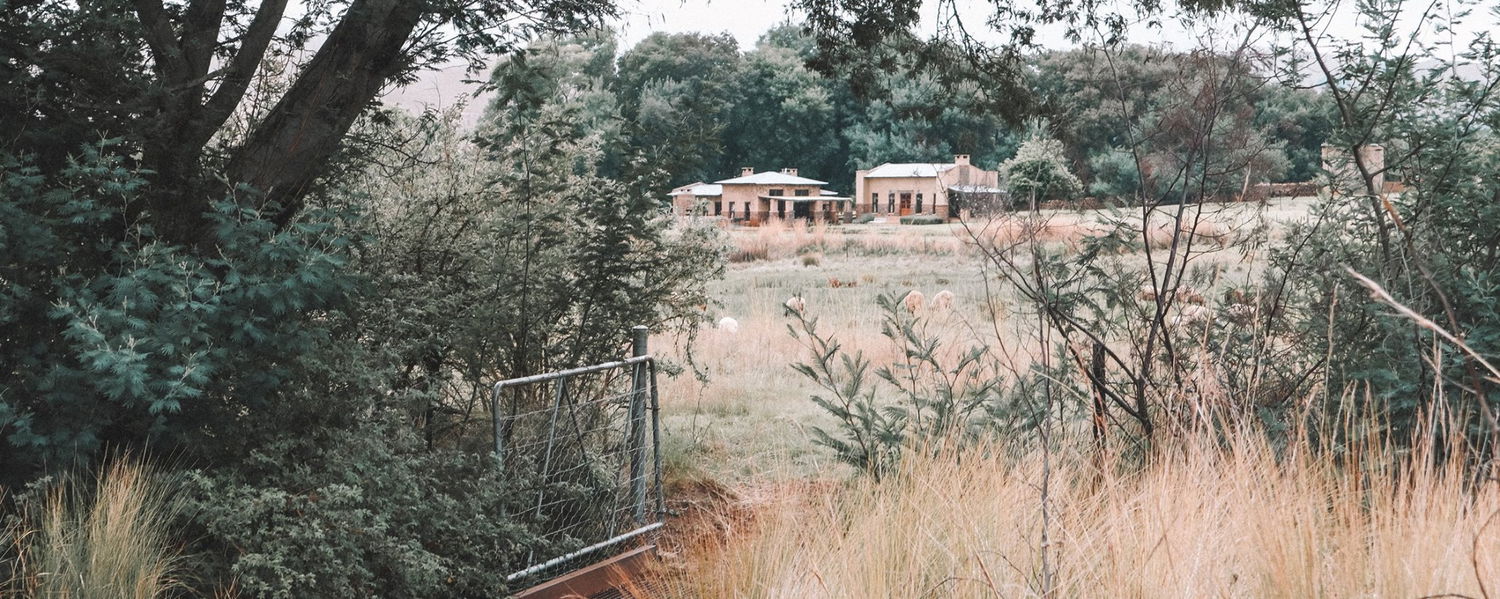 Pet Friendly Accommodation Dullstroom Mpumalanga